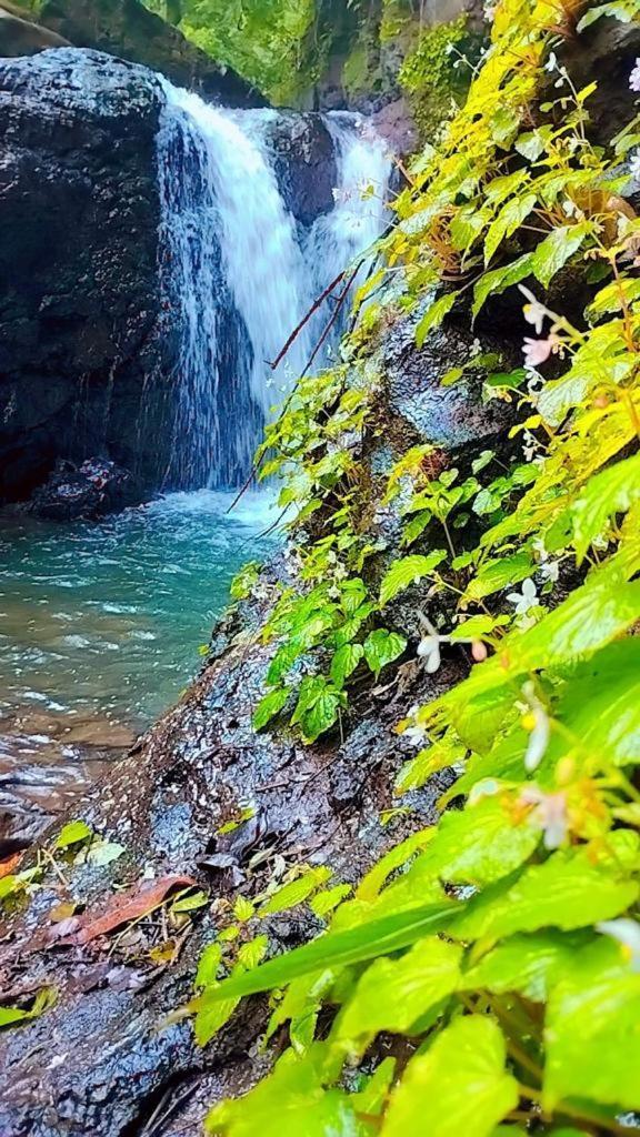 Sahaydri Hill View Agro Tourism - Farm Resort Ghātghar Екстериор снимка